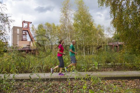 Der Förderturm und das Einstrebenfördergerüst wurden über den beiden ersten Zollverein-Schächten errichtet. 1904 und 1954 wurde die Schachtanlage modernisiert, auch die Förderanlagen wurden dabei erneuert.

Areal B [Schacht 1/2/8], Fördergerüst [B40], Förderturm [B41]

Die Industrienatur auf dem UNESCO-Welterbe Zollverein ist einzigartig und zeigt eindrucksvoll, dass große innerstädtische Brachen wichtige Lebensräume für Tiere und Pflanzen in der stark besiedelten Region des Ruhrgebiets sind. Auf dem Welterbe wurden über 540 Farn- und Blütenpflanzenarten, etwa 100 Flechtenarten, rund 60 Vogelarten, über 20 Schmetterlingsarten und 6 Amphibienarten nachgewiesen. 

Seit 2006 wird die besondere Verbindung von Natur und Industriearchitektur im Zollverein Park gepflegt und kontinuierlich weiterentwickelt. Grundlage für die Landschaftsgestaltung des Parks ist der Masterplan „Industrielandschaft Zollverein“, den 2003 die Agentur Agence Ter unter Leitung von Henri Bava erstellt hat.

Der Park ist nicht nur Lebensraum für viele Pflanzen- und Tierarten, sondern auch ein attraktives Freizeit- und Naherholungsgebiet. 2014 wurde der ZOLLVEREIN® Park zum beliebtesten Ziel im Emscher Landschaftspark gewählt. Früher wurde hier das taube Gestein als Abfallprodukt der Kohleförderung gelagert. Heute laden frei zugängliche Sitzgelegenheiten, Picknickplätze, Aussichtspunkte und Spielorte für Kinder zum Verweilen ein. Namhafte Künstler haben sich mit Kunstwerken und Skulpturen im ZOLLVEREIN® Park verewigt.

Areal A [Schacht XII]