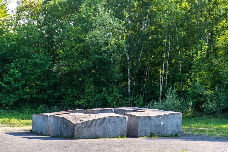 Ein etwa zwei Meter hoher und 10 x 10 Meter breiter Steinquader „Castell“ des Bildhauers Ulrich Rückriem (*1938) steht auf der Lichtung am Fuß der birkenbewachsenen Halde zwischen Zollverein Schacht XII und der Kokerei Zollverein. Vier Öffnungen zwischen den massiven Steinblöcken gewähren dem Besucher Zutritt zur Mitte des Kunstwerks und bieten eine faszinierende Perspektive.

Skulpturenwald