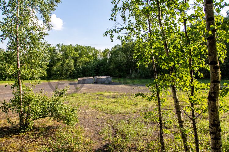 Ein etwa zwei Meter hoher und 10 x 10 Meter breiter Steinquader „Castell“ des Bildhauers Ulrich Rückriem (*1938) steht auf der Lichtung am Fuß der birkenbewachsenen Halde zwischen Zollverein Schacht XII und der Kokerei Zollverein. Vier Öffnungen zwischen den massiven Steinblöcken gewähren dem Besucher Zutritt zur Mitte des Kunstwerks und bieten eine faszinierende Perspektive.

Skulpturenwald