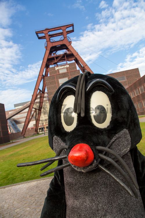 Jedes Jahr am 03.10. können Kinder von 5 bis 12 Jahren beim Türöffnertag der Sendung mit der Maus auf dem UNESCO-Welterbe Zollverein im Denkmalpfad ZOLLVEREIN® den ganzen Tag lang aktiv erleben, wie Bergleute und Koker arbeiten. Während sie auf dem Gelände und den Hallen den Zechen- und Kokerei-Parcours durchlaufen und z. B. einen Stollen bauen oder sich wie ein Bergmann kleiden, geht es im Ruhr Museum auf tierische Spurensuche.

Das 55 Meter hohe Doppelbock-Fördergerüst [A1] ist das Wahrzeichen des UNESCO-Welterbe Zollverein, der Stadt Essen und des gesamten Ruhrgebiets.

Areal A [Schacht XII], Fördergerüst [A1]