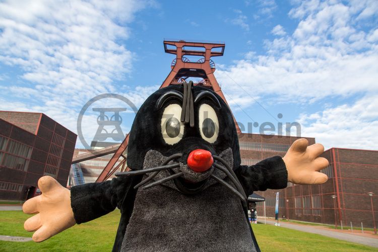 Jedes Jahr am 03.10. können Kinder von 5 bis 12 Jahren beim Türöffnertag der Sendung mit der Maus auf dem UNESCO-Welterbe Zollverein im Denkmalpfad ZOLLVEREIN® den ganzen Tag lang aktiv erleben, wie Bergleute und Koker arbeiten. Während sie auf dem Gelände und den Hallen den Zechen- und Kokerei-Parcours durchlaufen und z. B. einen Stollen bauen oder sich wie ein Bergmann kleiden, geht es im Ruhr Museum auf tierische Spurensuche.

Das 55 Meter hohe Doppelbock-Fördergerüst [A1] ist das Wahrzeichen des UNESCO-Welterbe Zollverein, der Stadt Essen und des gesamten Ruhrgebiets.

Areal A [Schacht XII], Fördergerüst [A1]