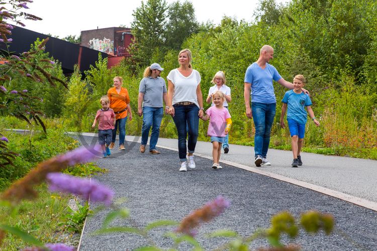 Der Zollverein Park ein einzigartiges Beispiel für eine neue Art von Landschaft, die sich durch eine besondere Verbindung von Denkmal, Ökologie und Gartenkunst auf einer ehemaligen Industriefläche auszeichnet. Seit 2006 wird diese besondere Verbindung von Natur und Industriearchitektur auf dem UNESCO-Welterbe gepflegt.

Areal C [Kokerei]