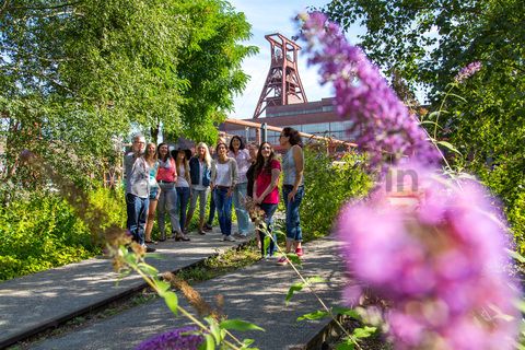 Bis zu 155.000 Besucher nehmen jährlich an einer Führung durch den Denkmalpfad ZOLLVEREIN®  teil, den im Originalzustand erhaltenen Übertageanlagen der Zeche und Kokerei Zollverein.

Der Zollverein Park ein einzigartiges Beispiel für eine neue Art von Landschaft, die sich durch eine besondere Verbindung von Denkmal, Ökologie und Gartenkunst auf einer ehemaligen Industriefläche auszeichnet. Seit 2006 wird diese besondere Verbindung von Natur und Industriearchitektur auf dem UNESCO-Welterbe gepflegt.

Das 55 Meter hohe Doppelbock-Fördergerüst [A1] ist das Wahrzeichen des UNESCO-Welterbe Zollverein, der Stadt Essen und des gesamten Ruhrgebiets.

Areal A [Schacht XII], Fördergerüst [A1]