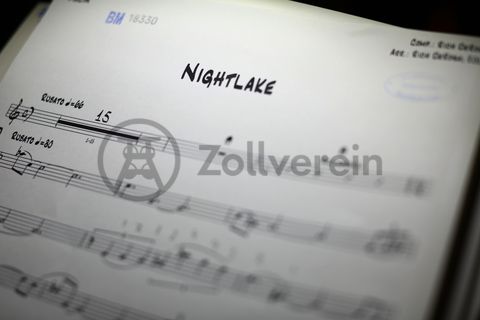 Die ZOLLVEREIN® Konzerte sind eine Veranstaltungsreihe der Stiftung Zollverein und präsentieren seit 1997 Klassik, Jazz, Experimentelles, Pop und Kabarett auf dem Gelände der Zeche und Kokerei Zollverein.

Bis in die 1960er Jahre sortierten Bergleute in der Lesebandhalle [A12] die großen Gesteinsstücke von Hand aus der Rohkohle heraus, heute ist die Halle 12 Eventlocation und Foyer für Messen, Kongresse und Konzerte.

Die Halle 12 kann für Veranstaltungen angemietet werden. Kontakt: Stiftung Zollverein, Fon +49 201 246 81-355, locations@zollverein.de.

Areal A [Schacht XII], Halle 12 [A12]