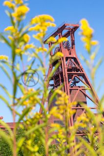 Die Natur im Zollverein Park ist immer in Bewegung: Auf Freiflächen, im Industriewald oder auf der Halde können Besucher ein einmaliges Ökosystem entecken.

Das 55 Meter hohe Doppelbock-Fördergerüst [A1] ist das Wahrzeichen des UNESCO-Welterbe Zollverein, der Stadt Essen und des gesamten Ruhrgebiets.

Areal A [Schacht XII], Fördergerüst [A1]