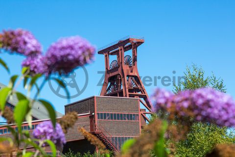 Die Natur im Zollverein Park ist immer in Bewegung: Auf Freiflächen, im Industriewald oder auf der Halde können Besucher ein einmaliges Ökosystem entecken.

Das 55 Meter hohe Doppelbock-Fördergerüst [A1] ist das Wahrzeichen des UNESCO-Welterbe Zollverein, der Stadt Essen und des gesamten Ruhrgebiets.

Areal A [Schacht XII], Fördergerüst [A1]