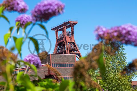 Die Natur im Zollverein Park ist immer in Bewegung: Auf Freiflächen, im Industriewald oder auf der Halde können Besucher ein einmaliges Ökosystem entecken.

Das 55 Meter hohe Doppelbock-Fördergerüst [A1] ist das Wahrzeichen des UNESCO-Welterbe Zollverein, der Stadt Essen und des gesamten Ruhrgebiets.

Areal A [Schacht XII], Fördergerüst [A1]