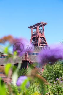 Die Natur im Zollverein Park ist immer in Bewegung: Auf Freiflächen, im Industriewald oder auf der Halde können Besucher ein einmaliges Ökosystem entecken.

Das 55 Meter hohe Doppelbock-Fördergerüst [A1] ist das Wahrzeichen des UNESCO-Welterbe Zollverein, der Stadt Essen und des gesamten Ruhrgebiets.

Areal A [Schacht XII], Fördergerüst [A1]