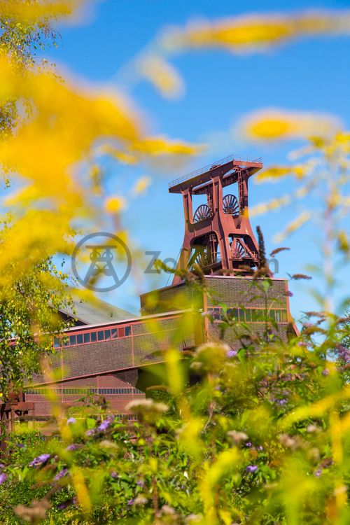 Die Natur im Zollverein Park ist immer in Bewegung: Auf Freiflächen, im Industriewald oder auf der Halde können Besucher ein einmaliges Ökosystem entecken.

Das 55 Meter hohe Doppelbock-Fördergerüst [A1] ist das Wahrzeichen des UNESCO-Welterbe Zollverein, der Stadt Essen und des gesamten Ruhrgebiets.

Areal A [Schacht XII], Fördergerüst [A1]