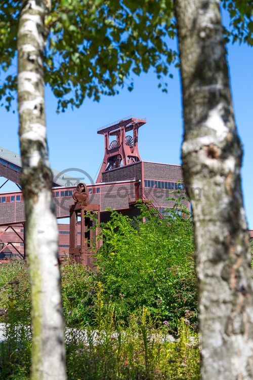 Die Natur im Zollverein Park ist immer in Bewegung: Auf Freiflächen, im Industriewald oder auf der Halde können Besucher ein einmaliges Ökosystem entecken.

Das 55 Meter hohe Doppelbock-Fördergerüst [A1] ist das Wahrzeichen des UNESCO-Welterbe Zollverein, der Stadt Essen und des gesamten Ruhrgebiets.

Areal A [Schacht XII], Fördergerüst [A1]