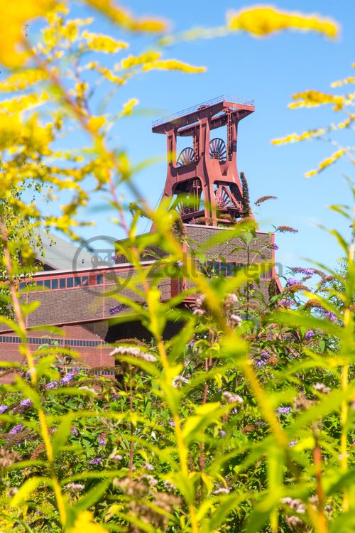 Die Natur im Zollverein Park ist immer in Bewegung: Auf Freiflächen, im Industriewald oder auf der Halde können Besucher ein einmaliges Ökosystem entecken.

Das 55 Meter hohe Doppelbock-Fördergerüst [A1] ist das Wahrzeichen des UNESCO-Welterbe Zollverein, der Stadt Essen und des gesamten Ruhrgebiets.

Areal A [Schacht XII], Fördergerüst [A1]