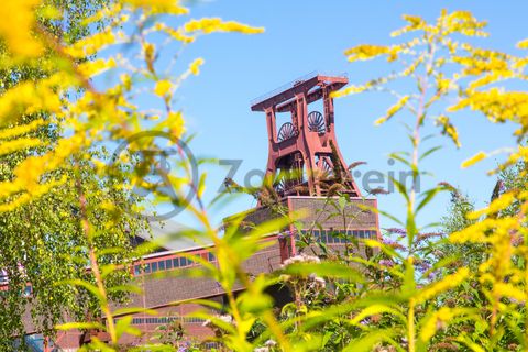 Die Natur im Zollverein Park ist immer in Bewegung: Auf Freiflächen, im Industriewald oder auf der Halde können Besucher ein einmaliges Ökosystem entecken.

Das 55 Meter hohe Doppelbock-Fördergerüst [A1] ist das Wahrzeichen des UNESCO-Welterbe Zollverein, der Stadt Essen und des gesamten Ruhrgebiets.

Areal A [Schacht XII], Fördergerüst [A1]