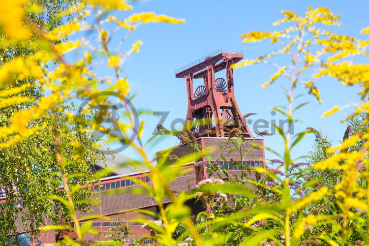 Die Natur im Zollverein Park ist immer in Bewegung: Auf Freiflächen, im Industriewald oder auf der Halde können Besucher ein einmaliges Ökosystem entecken.

Das 55 Meter hohe Doppelbock-Fördergerüst [A1] ist das Wahrzeichen des UNESCO-Welterbe Zollverein, der Stadt Essen und des gesamten Ruhrgebiets.

Areal A [Schacht XII], Fördergerüst [A1]