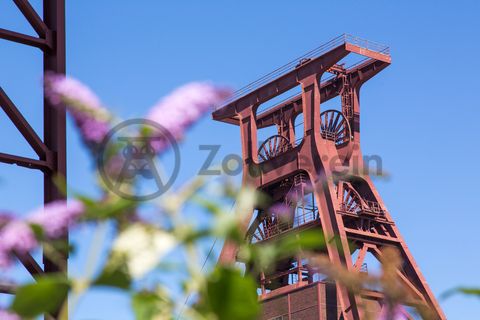 Die Natur im Zollverein Park ist immer in Bewegung: Auf Freiflächen, im Industriewald oder auf der Halde können Besucher ein einmaliges Ökosystem entecken.

Das 55 Meter hohe Doppelbock-Fördergerüst [A1] ist das Wahrzeichen des UNESCO-Welterbe Zollverein, der Stadt Essen und des gesamten Ruhrgebiets.

Areal A [Schacht XII], Fördergerüst [A1]