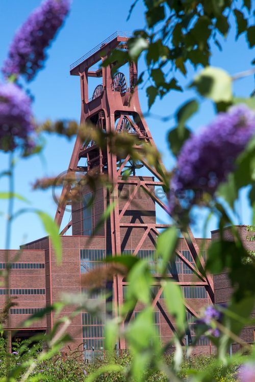 Die Natur im Zollverein Park ist immer in Bewegung: Auf Freiflächen, im Industriewald oder auf der Halde können Besucher ein einmaliges Ökosystem entecken.

Das 55 Meter hohe Doppelbock-Fördergerüst [A1] ist das Wahrzeichen des UNESCO-Welterbe Zollverein, der Stadt Essen und des gesamten Ruhrgebiets.

Areal A [Schacht XII], Fördergerüst [A1]