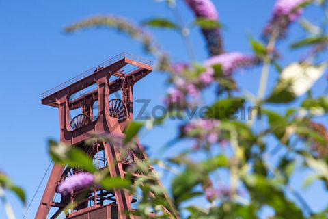 Die Natur im Zollverein Park ist immer in Bewegung: Auf Freiflächen, im Industriewald oder auf der Halde können Besucher ein einmaliges Ökosystem entecken.

Das 55 Meter hohe Doppelbock-Fördergerüst [A1] ist das Wahrzeichen des UNESCO-Welterbe Zollverein, der Stadt Essen und des gesamten Ruhrgebiets.

Areal A [Schacht XII], Fördergerüst [A1]