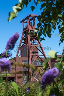 Die Natur im Zollverein Park ist immer in Bewegung: Auf Freiflächen, im Industriewald oder auf der Halde können Besucher ein einmaliges Ökosystem entecken.

Das 55 Meter hohe Doppelbock-Fördergerüst [A1] ist das Wahrzeichen des UNESCO-Welterbe Zollverein, der Stadt Essen und des gesamten Ruhrgebiets.

Areal A [Schacht XII], Fördergerüst [A1]