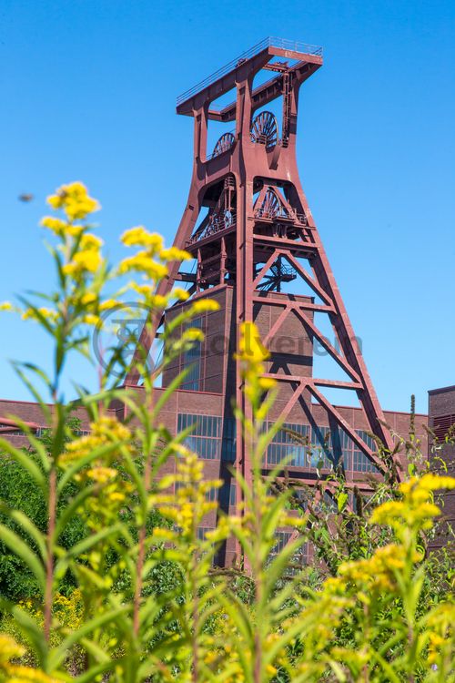 Die Natur im Zollverein Park ist immer in Bewegung: Auf Freiflächen, im Industriewald oder auf der Halde können Besucher ein einmaliges Ökosystem entecken.

Das 55 Meter hohe Doppelbock-Fördergerüst [A1] ist das Wahrzeichen des UNESCO-Welterbe Zollverein, der Stadt Essen und des gesamten Ruhrgebiets.

Areal A [Schacht XII], Fördergerüst [A1]