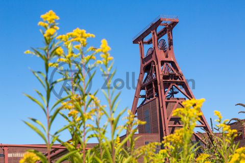 Die Natur im Zollverein Park ist immer in Bewegung: Auf Freiflächen, im Industriewald oder auf der Halde können Besucher ein einmaliges Ökosystem entecken.

Das 55 Meter hohe Doppelbock-Fördergerüst [A1] ist das Wahrzeichen des UNESCO-Welterbe Zollverein, der Stadt Essen und des gesamten Ruhrgebiets.

Areal A [Schacht XII], Fördergerüst [A1]