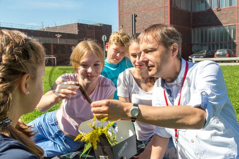 Die ehemalige Elektrowerkstatt, Halle 6, [A6] ist heute Veranstaltungshalle und beherbergt die Büroräume einer Kreativagentur.

Die Halle 6 kann für Veranstaltungen angemietet werden. Kontakt: Stiftung Zollverein, Fon +49 201 246 81-355, locations@zollverein.de.

Areal A [Schacht XII], Halle 6 [A6]