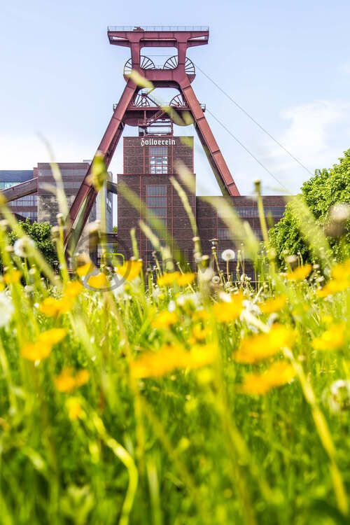 Das 55 Meter hohe Doppelbock-Fördergerüst ist das Wahrzeichen des UNESCO-Welterbe Zollverein, der Stadt Essen und des gesamten Ruhrgebiets.

Fördergerüst, UNESCO-Welterbe Zollverein, Essen