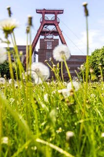 Das 55 Meter hohe Doppelbock-Fördergerüst ist das Wahrzeichen des UNESCO-Welterbe Zollverein, der Stadt Essen und des gesamten Ruhrgebiets.

Fördergerüst, UNESCO-Welterbe Zollverein, Essen