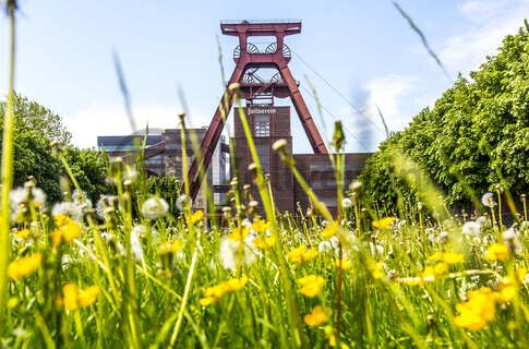 Das 55 Meter hohe Doppelbock-Fördergerüst ist das Wahrzeichen des UNESCO-Welterbe Zollverein, der Stadt Essen und des gesamten Ruhrgebiets.

Fördergerüst, UNESCO-Welterbe Zollverein, Essen