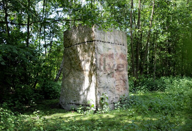 Die birkenbewachsene Halde zwischen Zollverein Schacht XII und der Kokerei Zollverein ist ein fast märchenhafter Ort. Fünf Steinskulpturen des Bildhauers Ulrich Rückriem treffen dort auf einzigartige Industriearchitektur, verzweigte Wege und die Vergangenheit der Montanindustrie.

Ab 1928 entstand die Halde der Zeche Zollverein auf dem Schacht XII. Nach der Stilllegung des Bergwerks 1986 wurde sie Naherholungsgebiet, Skulpturenpark und Lebensraum für viele Pflanzen- und Tierarten. 
Zeche und Kokerei, UNESCO-Welterbe Zollverein, Essen