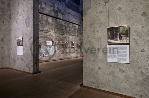 In den architektonisch beeindruckenden Ebenen der Mischanlage präsentiert die Ausstellung zeitgenössische Fotografien der Emscherregion. Die Aufnahmen aus den Jahren 2016 bis 2021 dokumentieren in 16 künstlerischen Positionen das soziale Leben, die Landschaft und die Architektur im nördlichen Ruhrgebiet.

Einer der aufregendsten Orte auf dem ganzen Gelände ist die Mischanlage der Kokerei Zollverein. Umgebaut 1999, ist ihre vielfältige Raumsituation besonders geeignet für Veranstaltungen. Früher gelangte die Kohle über Schrägbandbrücken zunächst zur Kopfstation direkt unter dem Dach der viergeschossigen Anlage. Hier wurde sie in Bunkern gelagert und zur Weiterverarbeitung vermengt. Im Erdgeschoss bietet das „café & restaurant die kokerei“ ein umfangreiches Angebot mediterraner und regionaler Küche. Das Gebäude kann heute im Rahmen von Führungen durch den Denkmalpfad Zollverein / Kokerei besichtigt werden und wird als Ausstellungs- und Veranstaltungshalle genutzt.