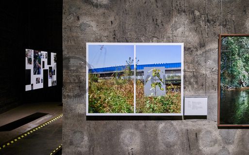 In den architektonisch beeindruckenden Ebenen der Mischanlage präsentiert die Ausstellung zeitgenössische Fotografien der Emscherregion. Die Aufnahmen aus den Jahren 2016 bis 2021 dokumentieren in 16 künstlerischen Positionen das soziale Leben, die Landschaft und die Architektur im nördlichen Ruhrgebiet.

Einer der aufregendsten Orte auf dem ganzen Gelände ist die Mischanlage der Kokerei Zollverein. Umgebaut 1999, ist ihre vielfältige Raumsituation besonders geeignet für Veranstaltungen. Früher gelangte die Kohle über Schrägbandbrücken zunächst zur Kopfstation direkt unter dem Dach der viergeschossigen Anlage. Hier wurde sie in Bunkern gelagert und zur Weiterverarbeitung vermengt. Im Erdgeschoss bietet das „café & restaurant die kokerei“ ein umfangreiches Angebot mediterraner und regionaler Küche. Das Gebäude kann heute im Rahmen von Führungen durch den Denkmalpfad Zollverein / Kokerei besichtigt werden und wird als Ausstellungs- und Veranstaltungshalle genutzt.