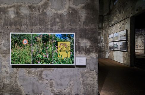 In den architektonisch beeindruckenden Ebenen der Mischanlage präsentiert die Ausstellung zeitgenössische Fotografien der Emscherregion. Die Aufnahmen aus den Jahren 2016 bis 2021 dokumentieren in 16 künstlerischen Positionen das soziale Leben, die Landschaft und die Architektur im nördlichen Ruhrgebiet.

Einer der aufregendsten Orte auf dem ganzen Gelände ist die Mischanlage der Kokerei Zollverein. Umgebaut 1999, ist ihre vielfältige Raumsituation besonders geeignet für Veranstaltungen. Früher gelangte die Kohle über Schrägbandbrücken zunächst zur Kopfstation direkt unter dem Dach der viergeschossigen Anlage. Hier wurde sie in Bunkern gelagert und zur Weiterverarbeitung vermengt. Im Erdgeschoss bietet das „café & restaurant die kokerei“ ein umfangreiches Angebot mediterraner und regionaler Küche. Das Gebäude kann heute im Rahmen von Führungen durch den Denkmalpfad Zollverein / Kokerei besichtigt werden und wird als Ausstellungs- und Veranstaltungshalle genutzt.