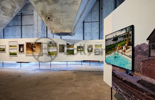 In den architektonisch beeindruckenden Ebenen der Mischanlage präsentiert die Ausstellung zeitgenössische Fotografien der Emscherregion. Die Aufnahmen aus den Jahren 2016 bis 2021 dokumentieren in 16 künstlerischen Positionen das soziale Leben, die Landschaft und die Architektur im nördlichen Ruhrgebiet.

Einer der aufregendsten Orte auf dem ganzen Gelände ist die Mischanlage der Kokerei Zollverein. Umgebaut 1999, ist ihre vielfältige Raumsituation besonders geeignet für Veranstaltungen. Früher gelangte die Kohle über Schrägbandbrücken zunächst zur Kopfstation direkt unter dem Dach der viergeschossigen Anlage. Hier wurde sie in Bunkern gelagert und zur Weiterverarbeitung vermengt. Im Erdgeschoss bietet das „café & restaurant die kokerei“ ein umfangreiches Angebot mediterraner und regionaler Küche. Das Gebäude kann heute im Rahmen von Führungen durch den Denkmalpfad Zollverein / Kokerei besichtigt werden und wird als Ausstellungs- und Veranstaltungshalle genutzt.