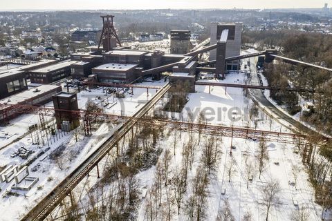 Die Geschichte Zollvereins beginnt in den Pioniertagen des heutigen Ruhrgebiets. Der erste Schacht wurde 1847 abgeteuft, d.h. in die Erde getrieben. Vier Jahre später wurde die erste Kohle gefördert. Im Laufe der Zeit entstanden vier weitere Schachtanlagen. Die letzte war die neue Zentralschachtanlage Zollverein XII, die ab 1932 die gesamte Zollverein-Kohle förderte.

Noch heute besticht die symmetrische Anordnung der Gebäude auf zwei Blickachsen. Die komplett erhaltenen 20 Einzelgebäude bilden die technischen Arbeits- und Produktionsabläufe nach dem Prinzip „form follows function“ ab. Durchgestaltet bis in die Details der Lampen, Treppengeländer und Türgriffe, ist die Anlage ein komplett erhaltenes Gesamtkunstwerk. Die authentisch erhaltenen Anlagen repräsentieren exemplarisch die soziale, ökonomische, ästhetische und industrielle Geschichte des Kohle- und Stahlzeitalters.

Trotz Rekordzahlen wie 12.000 Tagestonnen verwertbarer Steinkohle machte das Ende der Schwerindustrie auch vor Zollverein nicht Halt. Am 23. Dezember 1986 fuhr die letzte Schicht ein. An diesem Tag stand die Zeche bereits unter Denkmalschutz, 1990 begannen die Sanierungsarbeiten, seit 2001 sind Zeche und Kokerei Zollverein UNESCO-Welterbe. Mit dem Denkmalpfad ZOLLVEREIN®, dem Ruhr Museum und dem Red Dot Design Museum sind auf Schacht XII drei der beliebtesten Touristenziele der Region. Das Doppelbock-Fördergerüst der Schachtanlage ist heute Wahrzeichen für das gesamte Ruhrgebiet.

Die Industrienatur auf dem UNESCO-Welterbe Zollverein ist einzigartig und zeigt eindrucksvoll, dass große innerstädtische Brachen wichtige Lebensräume für Tiere und Pflanzen in der stark besiedelten Region des Ruhrgebiets sind. Auf dem Welterbe wurden über 540 Farn- und Blütenpflanzenarten, etwa 100 Flechtenarten, rund 60 Vogelarten, über 20 Schmetterlingsarten und 6 Amphibienarten nachgewiesen.

Seit 2006 wird die besondere Verbindung von Natur und Industriearchitektur im Zollverein Park gepflegt und kontinuierlich weiterentwickelt. Grundlage für die Landschaftsgestaltung des Parks ist der Masterplan „Industrielandschaft Zollverein“, den 2003 die Agentur Agence Ter unter Leitung von Henri Bava erstellt hat.

Der Park ist nicht nur Lebensraum für viele Pflanzen- und Tierarten, sondern auch ein attraktives Freizeit- und Naherholungsgebiet. 2014 wurde der Zollverein Park zum beliebtesten Ziel im Emscher Landschaftspark gewählt. Früher wurde hier das taube Gestein als Abfallprodukt der Kohleförderung gelagert. Heute laden frei zugängliche Sitzgelegenheiten, Picknickplätze, Aussichtspunkte und Spielorte für Kinder zum Verweilen ein. Namhafte Künstler haben sich mit Kunstwerken und Skulpturen im Zollverein Park verewigt.

Barrierefreie 3D-Geländemodelle z. B. auf dem Ehrenhof und dem Forum Kohlenwäsche sowie Bodenwegweiser auf der 3,5 Kilometer langen Ringpromenade erleichtern die Orientierung. Eine flächige, natürliche Beleuchtung sorgt auch in der Dämmerung für ein sicheres Gefühl bei den Besuchern.