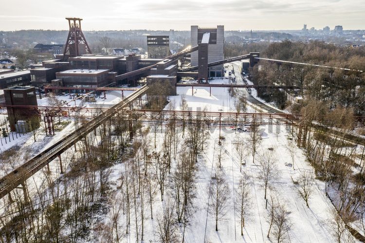 Die Geschichte Zollvereins beginnt in den Pioniertagen des heutigen Ruhrgebiets. Der erste Schacht wurde 1847 abgeteuft, d.h. in die Erde getrieben. Vier Jahre später wurde die erste Kohle gefördert. Im Laufe der Zeit entstanden vier weitere Schachtanlagen. Die letzte war die neue Zentralschachtanlage Zollverein XII, die ab 1932 die gesamte Zollverein-Kohle förderte.

Noch heute besticht die symmetrische Anordnung der Gebäude auf zwei Blickachsen. Die komplett erhaltenen 20 Einzelgebäude bilden die technischen Arbeits- und Produktionsabläufe nach dem Prinzip „form follows function“ ab. Durchgestaltet bis in die Details der Lampen, Treppengeländer und Türgriffe, ist die Anlage ein komplett erhaltenes Gesamtkunstwerk. Die authentisch erhaltenen Anlagen repräsentieren exemplarisch die soziale, ökonomische, ästhetische und industrielle Geschichte des Kohle- und Stahlzeitalters.

Trotz Rekordzahlen wie 12.000 Tagestonnen verwertbarer Steinkohle machte das Ende der Schwerindustrie auch vor Zollverein nicht Halt. Am 23. Dezember 1986 fuhr die letzte Schicht ein. An diesem Tag stand die Zeche bereits unter Denkmalschutz, 1990 begannen die Sanierungsarbeiten, seit 2001 sind Zeche und Kokerei Zollverein UNESCO-Welterbe. Mit dem Denkmalpfad ZOLLVEREIN®, dem Ruhr Museum und dem Red Dot Design Museum sind auf Schacht XII drei der beliebtesten Touristenziele der Region. Das Doppelbock-Fördergerüst der Schachtanlage ist heute Wahrzeichen für das gesamte Ruhrgebiet.

Die Industrienatur auf dem UNESCO-Welterbe Zollverein ist einzigartig und zeigt eindrucksvoll, dass große innerstädtische Brachen wichtige Lebensräume für Tiere und Pflanzen in der stark besiedelten Region des Ruhrgebiets sind. Auf dem Welterbe wurden über 540 Farn- und Blütenpflanzenarten, etwa 100 Flechtenarten, rund 60 Vogelarten, über 20 Schmetterlingsarten und 6 Amphibienarten nachgewiesen.

Seit 2006 wird die besondere Verbindung von Natur und Industriearchitektur im Zollverein Park gepflegt und kontinuierlich weiterentwickelt. Grundlage für die Landschaftsgestaltung des Parks ist der Masterplan „Industrielandschaft Zollverein“, den 2003 die Agentur Agence Ter unter Leitung von Henri Bava erstellt hat.

Der Park ist nicht nur Lebensraum für viele Pflanzen- und Tierarten, sondern auch ein attraktives Freizeit- und Naherholungsgebiet. 2014 wurde der Zollverein Park zum beliebtesten Ziel im Emscher Landschaftspark gewählt. Früher wurde hier das taube Gestein als Abfallprodukt der Kohleförderung gelagert. Heute laden frei zugängliche Sitzgelegenheiten, Picknickplätze, Aussichtspunkte und Spielorte für Kinder zum Verweilen ein. Namhafte Künstler haben sich mit Kunstwerken und Skulpturen im Zollverein Park verewigt.

Barrierefreie 3D-Geländemodelle z. B. auf dem Ehrenhof und dem Forum Kohlenwäsche sowie Bodenwegweiser auf der 3,5 Kilometer langen Ringpromenade erleichtern die Orientierung. Eine flächige, natürliche Beleuchtung sorgt auch in der Dämmerung für ein sicheres Gefühl bei den Besuchern.