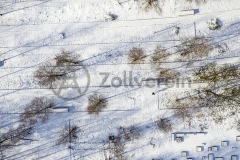 Die Industrienatur auf dem UNESCO-Welterbe Zollverein ist einzigartig und zeigt eindrucksvoll, dass große innerstädtische Brachen wichtige Lebensräume für Tiere und Pflanzen in der stark besiedelten Region des Ruhrgebiets sind. Auf dem Welterbe wurden über 540 Farn- und Blütenpflanzenarten, etwa 100 Flechtenarten, rund 60 Vogelarten, über 20 Schmetterlingsarten und 6 Amphibienarten nachgewiesen.

Seit 2006 wird die besondere Verbindung von Natur und Industriearchitektur im Zollverein Park gepflegt und kontinuierlich weiterentwickelt. Grundlage für die Landschaftsgestaltung des Parks ist der Masterplan „Industrielandschaft Zollverein“, den 2003 die Agentur Agence Ter unter Leitung von Henri Bava erstellt hat.

Der Park ist nicht nur Lebensraum für viele Pflanzen- und Tierarten, sondern auch ein attraktives Freizeit- und Naherholungsgebiet. 2014 wurde der Zollverein Park zum beliebtesten Ziel im Emscher Landschaftspark gewählt. Früher wurde hier das taube Gestein als Abfallprodukt der Kohleförderung gelagert. Heute laden frei zugängliche Sitzgelegenheiten, Picknickplätze, Aussichtspunkte und Spielorte für Kinder zum Verweilen ein. Namhafte Künstler haben sich mit Kunstwerken und Skulpturen im Zollverein Park verewigt.

Barrierefreie 3D-Geländemodelle z. B. auf dem Ehrenhof und dem Forum Kohlenwäsche sowie Bodenwegweiser auf der 3,5 Kilometer langen Ringpromenade erleichtern die Orientierung. Eine flächige, natürliche Beleuchtung sorgt auch in der Dämmerung für ein sicheres Gefühl bei den Besuchern.