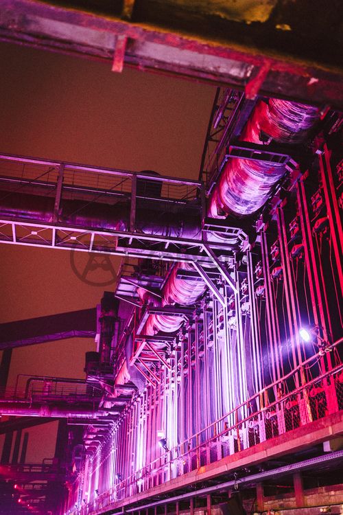In der Wintersaison tummeln sich an mindestens zwei Abenden Discofans und Schlittschuhläufer bei der Eisdisco auf der Zollverein-Eisbahn, dem „wahrscheinlich faszinierendsten Ort zum Schlittschuhlaufen bundesweit”. Entlang der Koksöfen, in denen einst Kohle bei 1.000 Grad Celsius zu Koks gebacken wurde, erstreckt sich im Winter über eine Länge von 150 Meter die Zollverein Eisbahn. 

Insbesondere am Abend, wenn die 1.800 Quadratmeter große Eisfläche mit der Installation „Monochromatic Red and Blue“ (1999) von Jonathan Speirs und Mark Major zu einem beeindruckenden Lichtkunstwerk in atmosphärisches Licht getaucht wird, ist das Schlittschuhlaufen vor der beeindruckenden Kulisse der Kokerei Zollverein ein einzigartiges Erlebnis.
